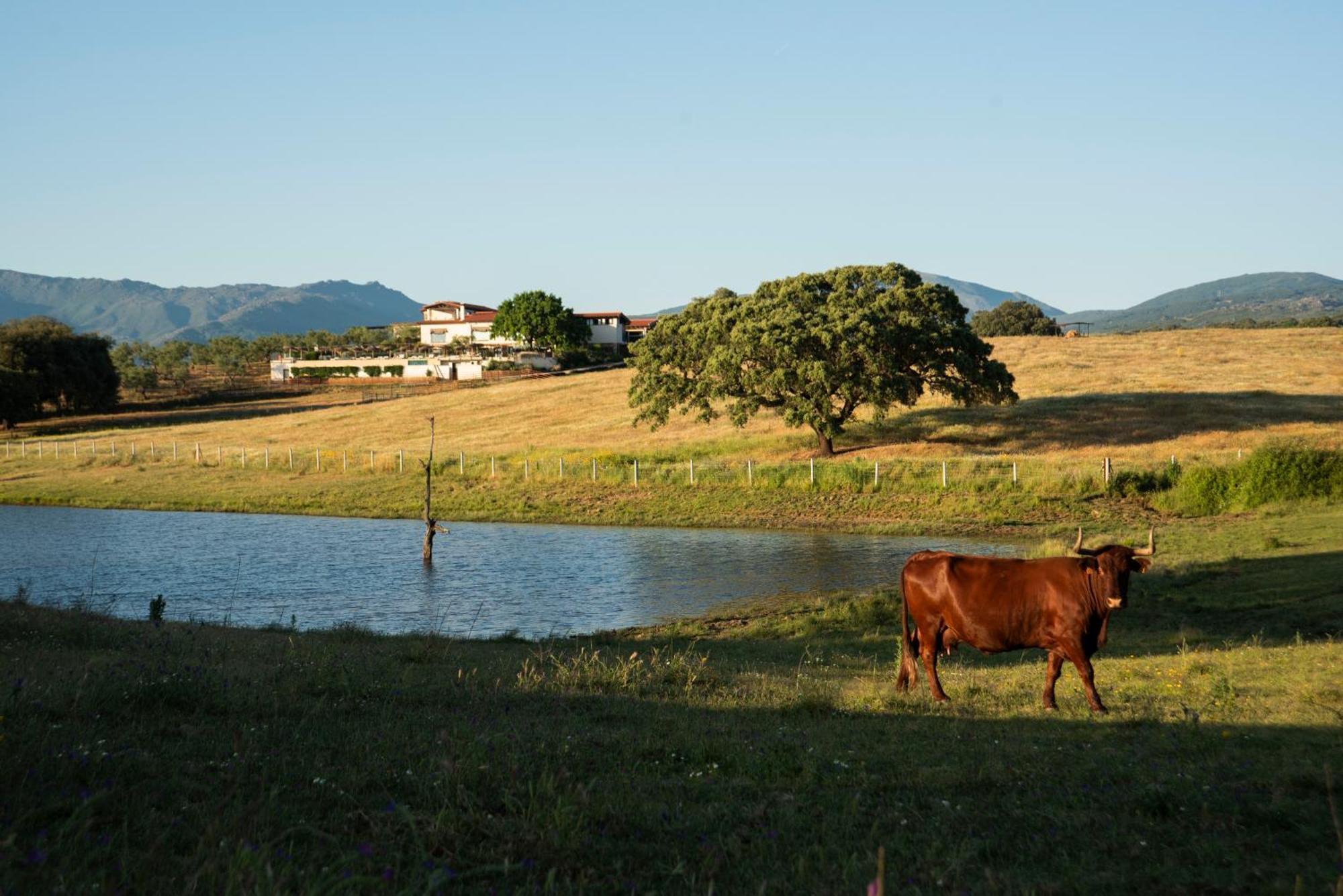 Habitat Cigueena Negra Valverde del Fresno Exteriör bild